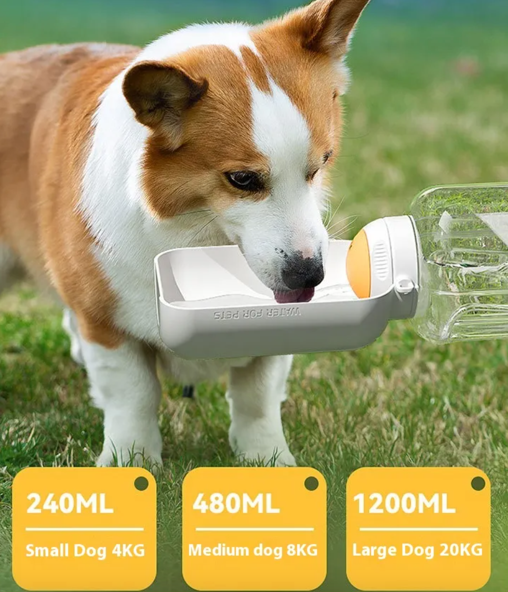 The AeroHydrate™ 2-in-1 Premium Travel Bottle