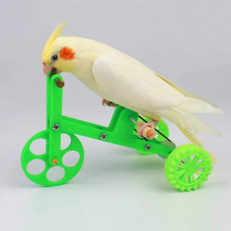 The AeroRide™ Parrot Bike Training Toy