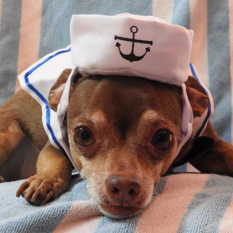 The AeroSailor™ Halloween Navy Sailor Costume — Cosplay Jacket & Cloak for Cats & Dogs