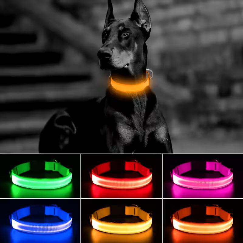 The AeroGlow™ LED Luminous Dog Collar with USB Charger — Night Safety, 4 Colors, S–XL