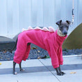 The AeroRex™ Greyhound, Italian Greyhound, Whippet & Afghan Hound Dinosaur Turtleneck Coat