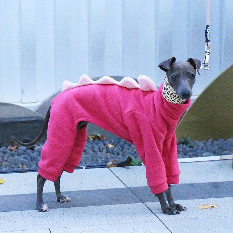 The AeroRex™ Greyhound, Italian Greyhound, Whippet & Afghan Hound Dinosaur Turtleneck Coat