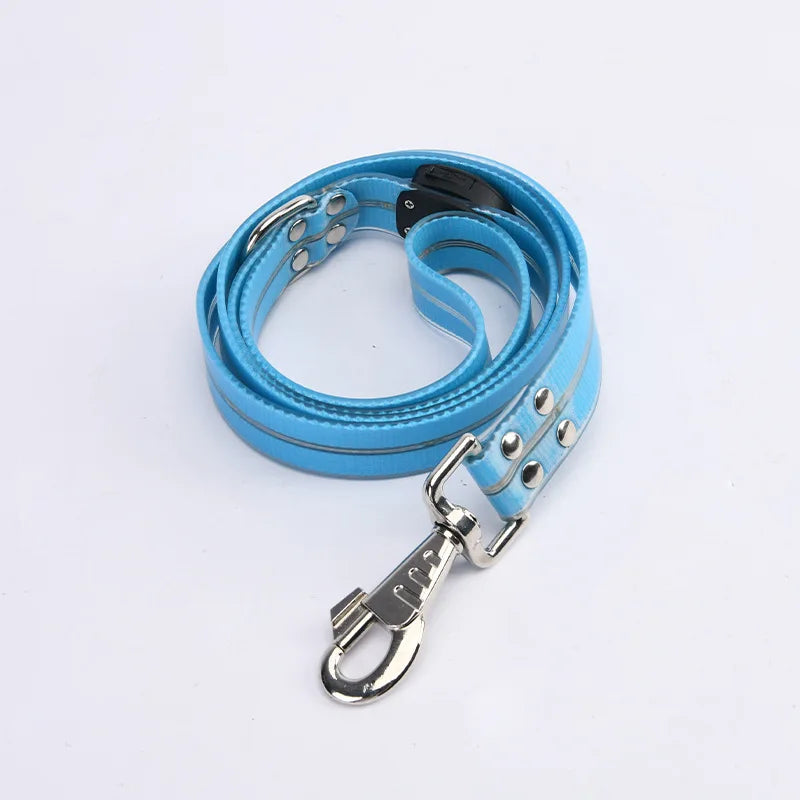 The AeroLume™ LED Dog Collar & Leash Set — USB Rechargeable Flashing Night Safety Set