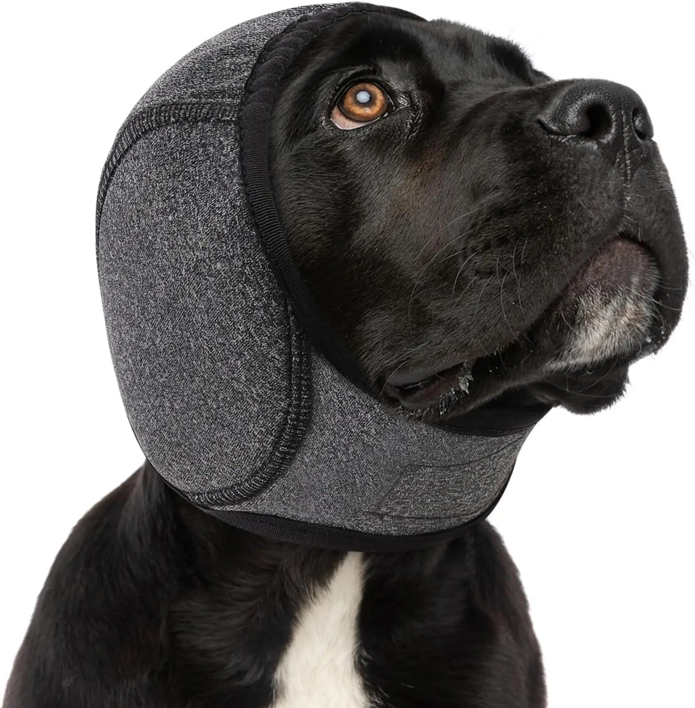 The AeroHush™ Noise Reduction Earmuffs
