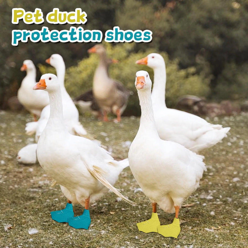 The AeroWalk™ Protective Pet Duck Booties