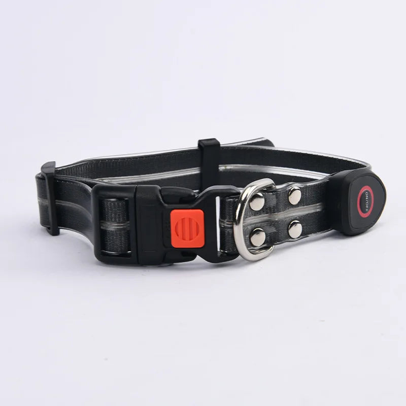 The AeroLume™ LED Dog Collar & Leash Set — USB Rechargeable Flashing Night Safety Set