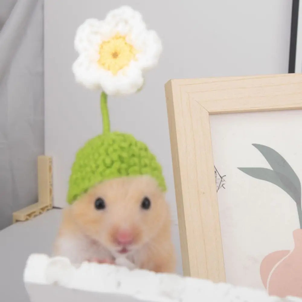 The AeroHat™ Cartoon Hamster Hat | 13 Adorable Styles