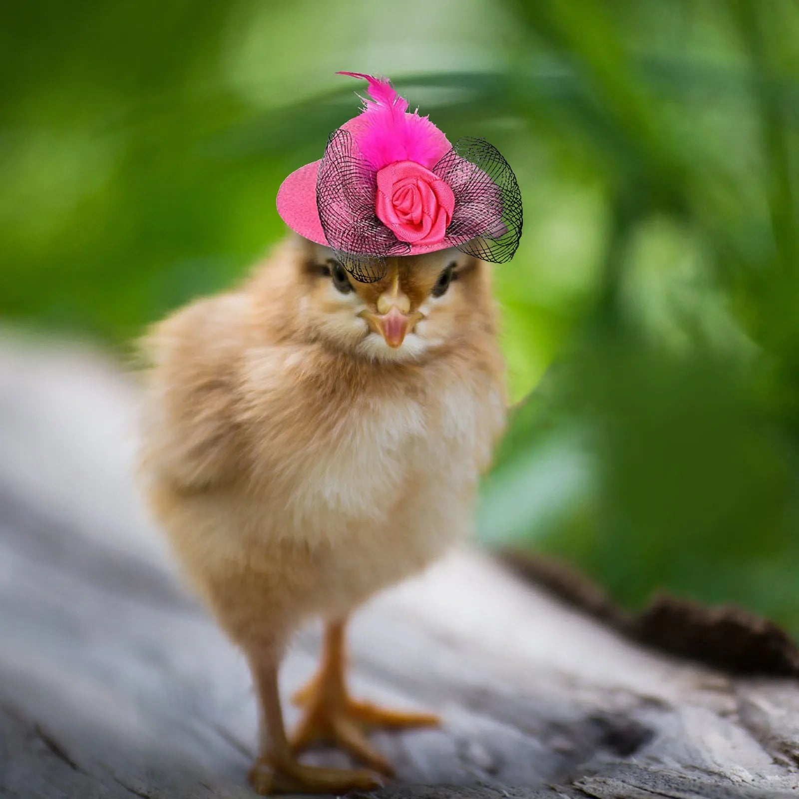 The AeroCrown™ Tiny Feathery Pet Top Hat