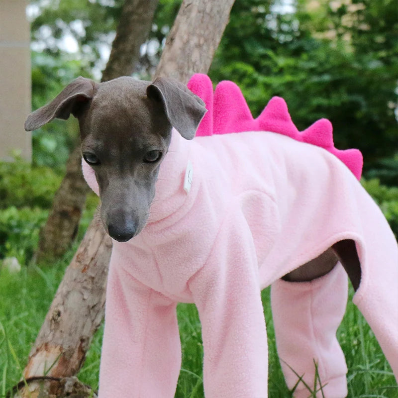 The AeroRex™ Greyhound, Italian Greyhound, Whippet & Afghan Hound Dinosaur Turtleneck Coat