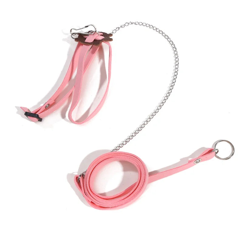 The AeroLeash™ PU Leather Turtle Walking Harness & Leash