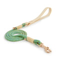 The AeroWalk™ Solid Nylon Dog & Cat Leash | Premium Edition