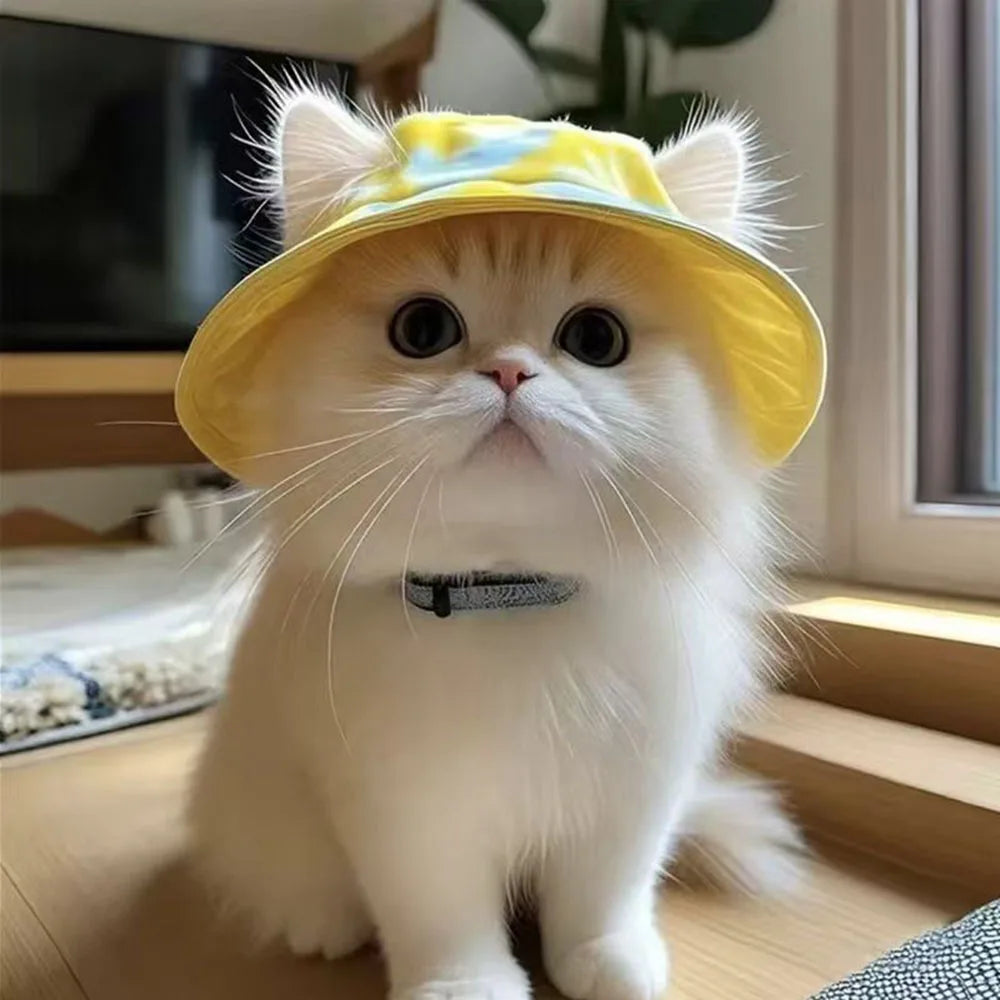 The AeroCatHat™ Bucket Sun Hat for Cats & Small Dogs