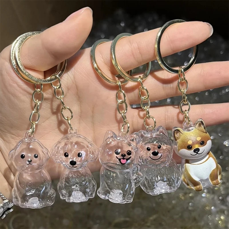 The PawVault™ Dog Hair Keepsake Clear Capsule Pendant — Pet Memorial Keychain