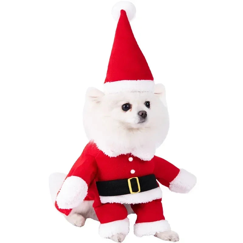 The AeroHalloween™ 3-Piece Pet Transformation Costume — Halloween Dagger Dress for Dogs & Cats