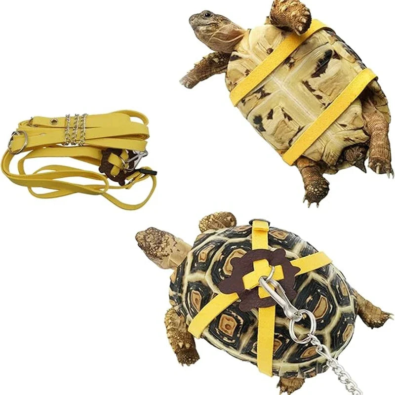 The AeroLeash™ Turtle Harness & Outdoor Traction Rope | Safe Adventure Awaits