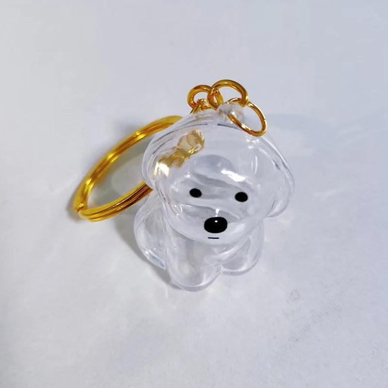 The PawVault™ Dog Hair Keepsake Clear Capsule Pendant — Pet Memorial Keychain
