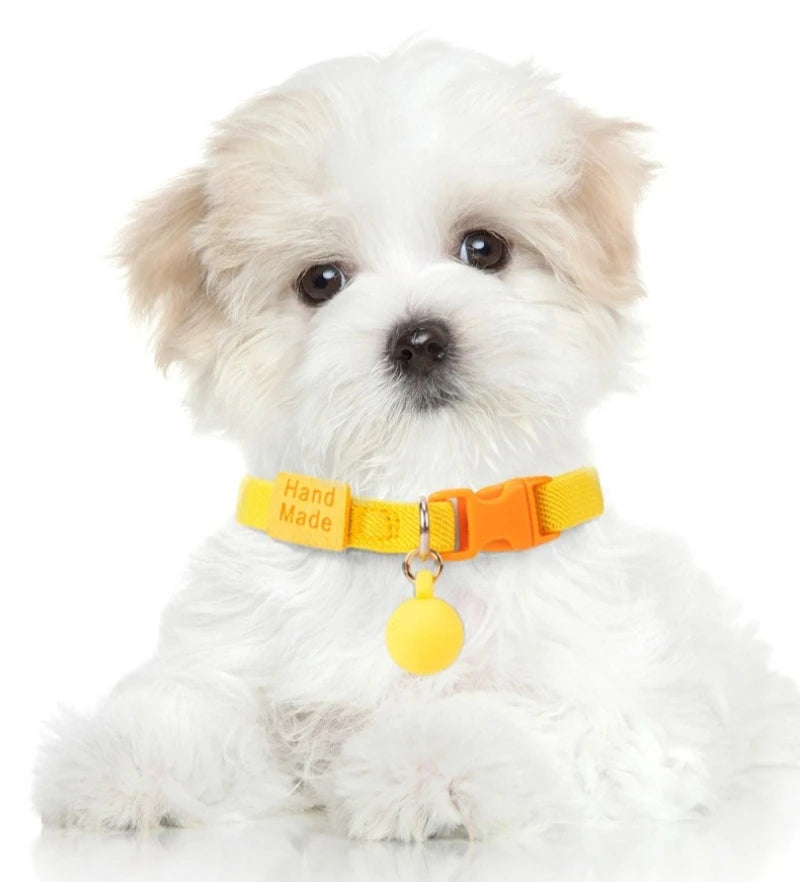 The AeroCollar™ Macaron Edition | Stretch Safety Cat Collar