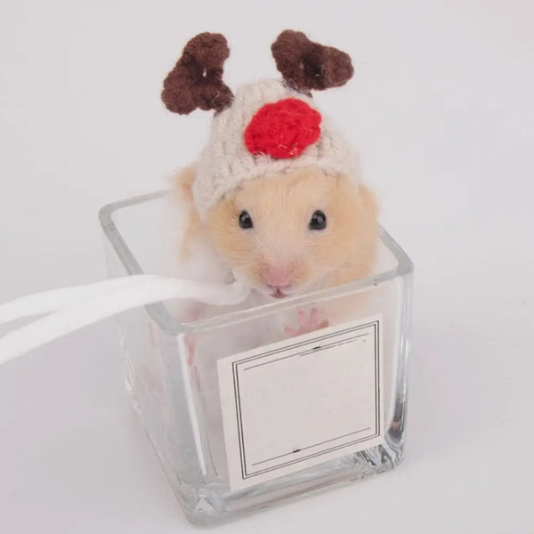 The AeroHat™ Cartoon Hamster Hat | 13 Adorable Styles