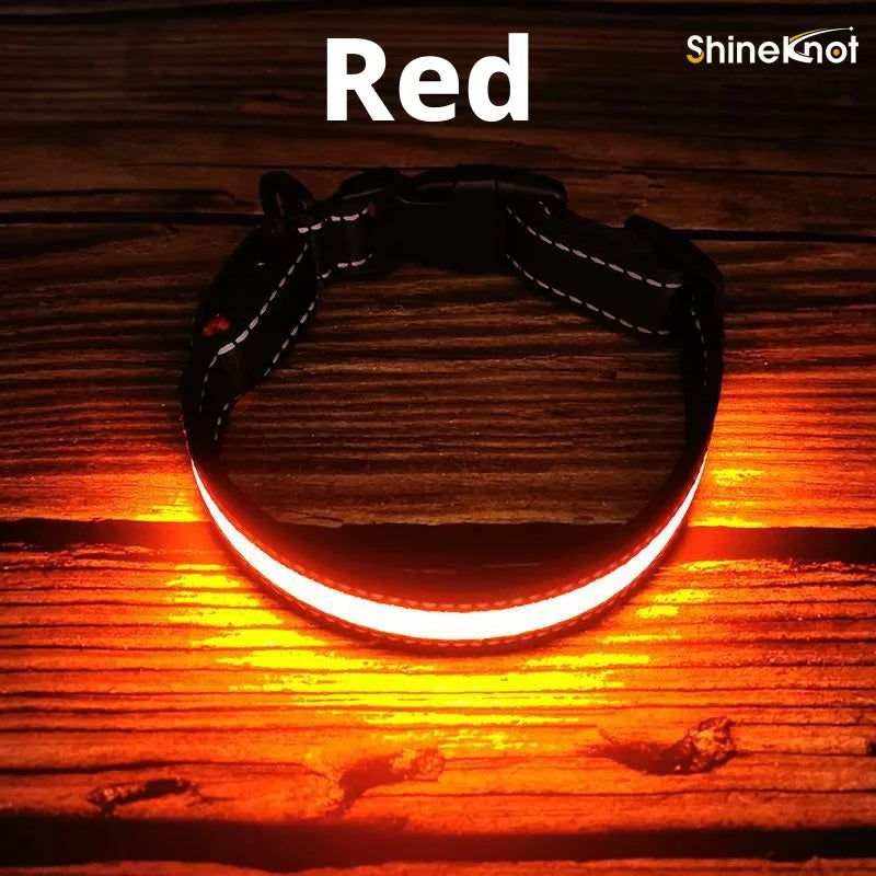 The AeroGlow™ Iridescent LED Safety Dog Collar