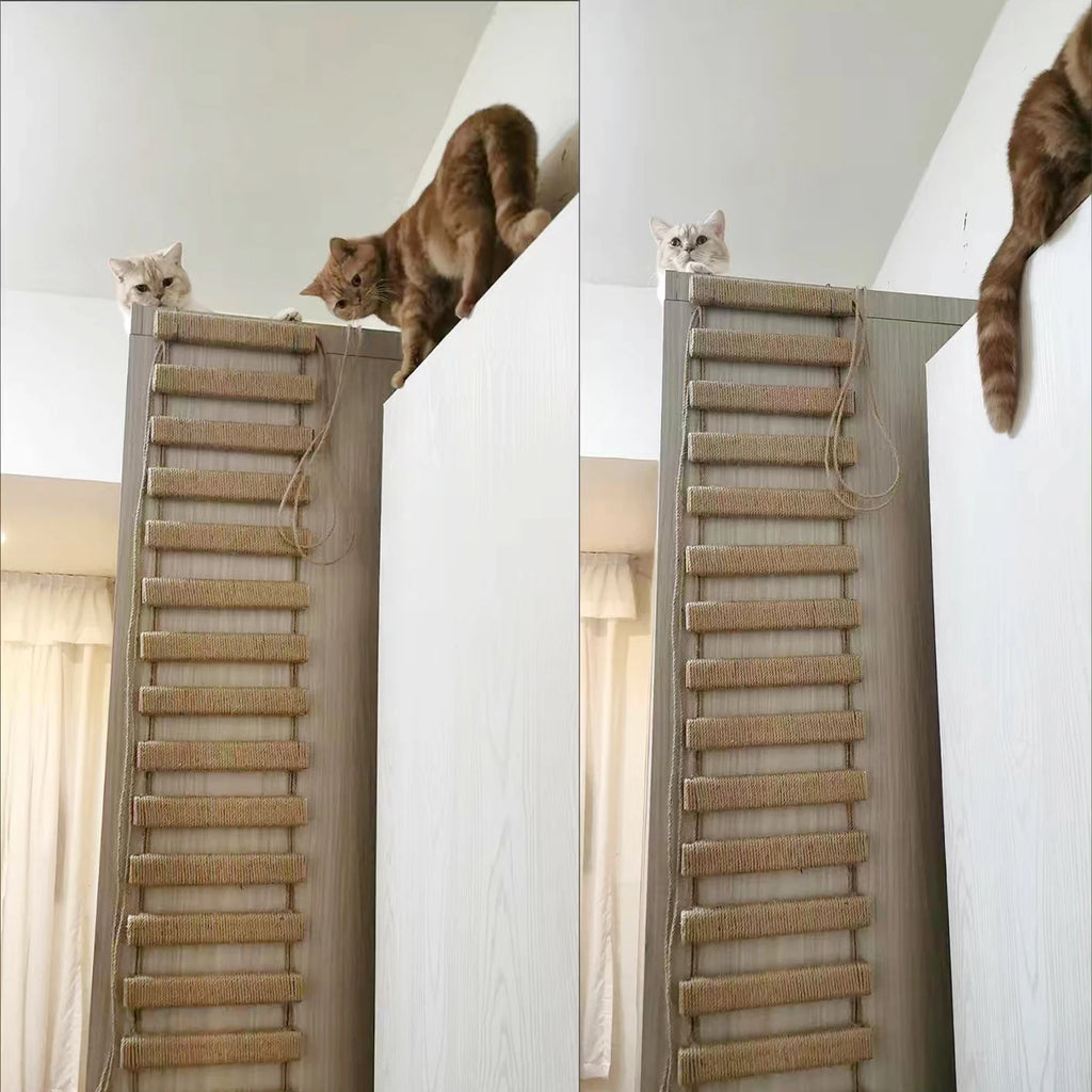 The AeroBridge™ Sisal Rope Cat Climbing Ladder