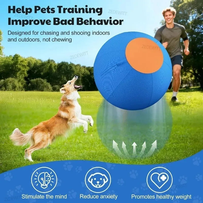 The AeroBounce™ Inflatable Interactive Dog Ball