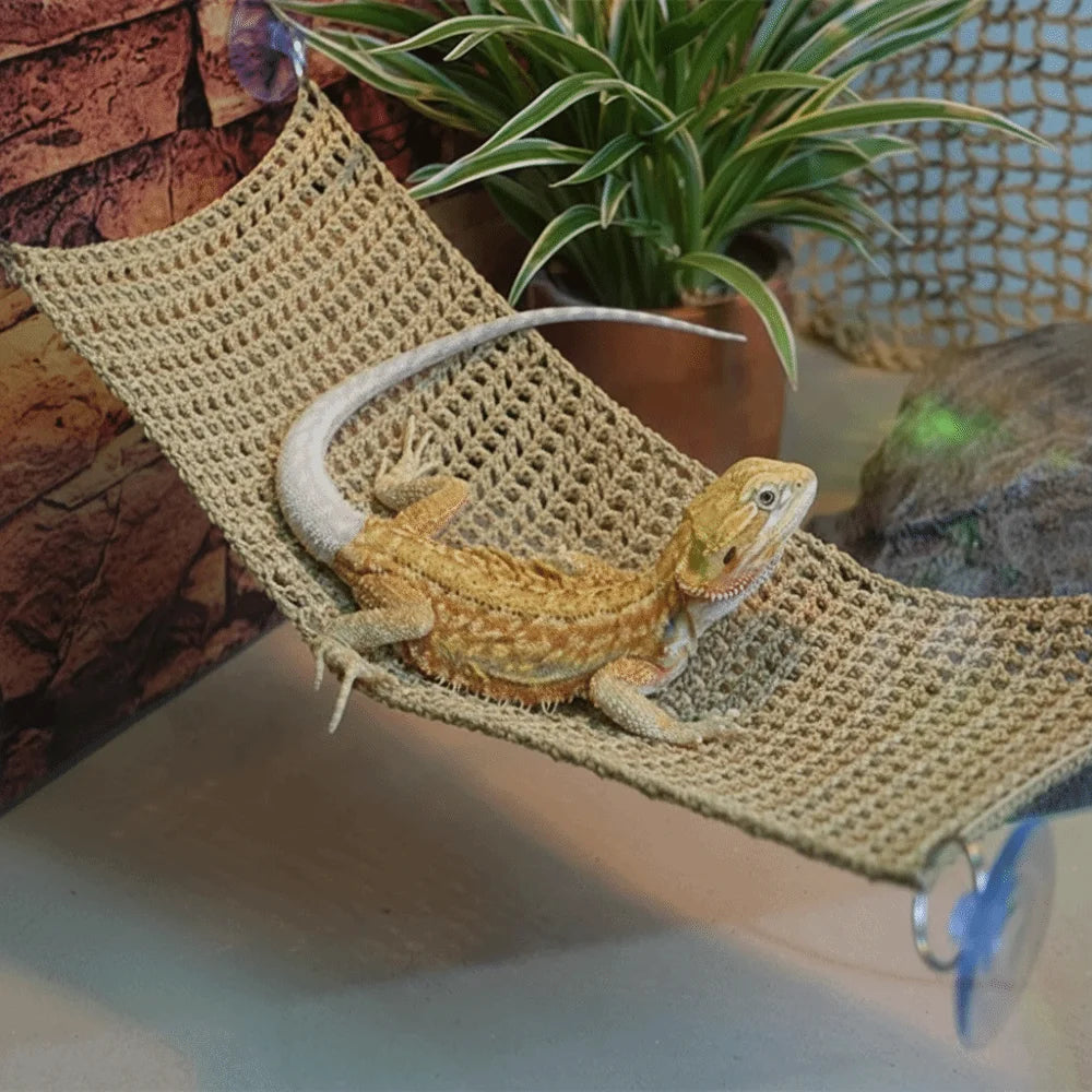 The AeroLounge™ Suction Cup Lizard Hammock | Breathable Mesh Reptile Hammock
