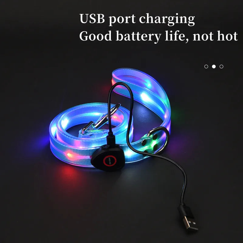 The AeroLume™ LED Dog Collar & Leash Set — USB Rechargeable Flashing Night Safety Set