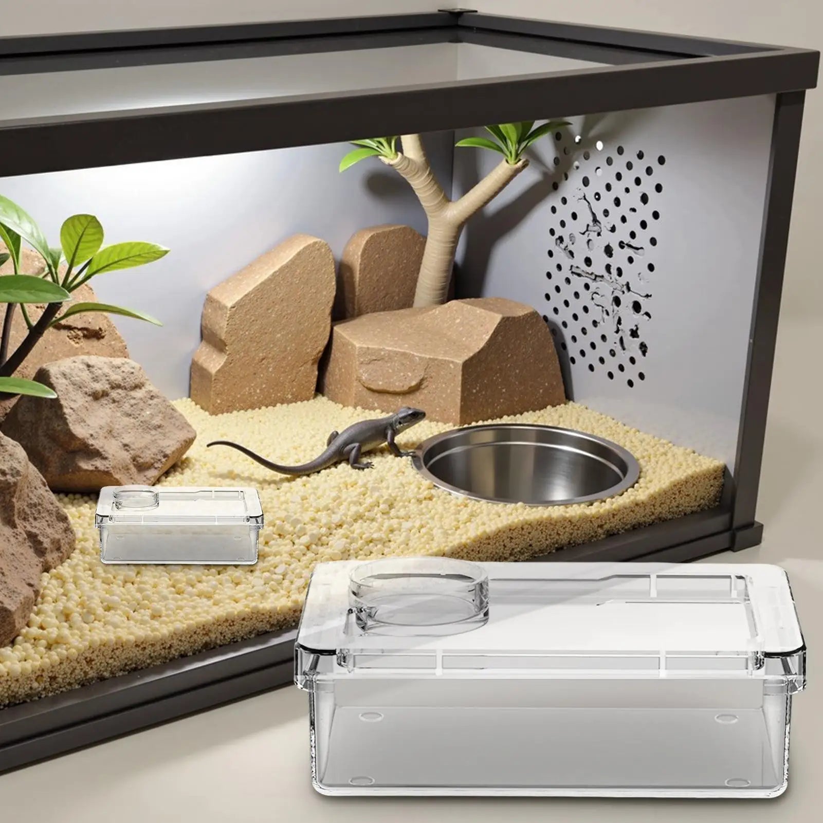 The AeroFeed™ Anti-Escape Reptile Feeding Bowl | Lizards, Geckos & More