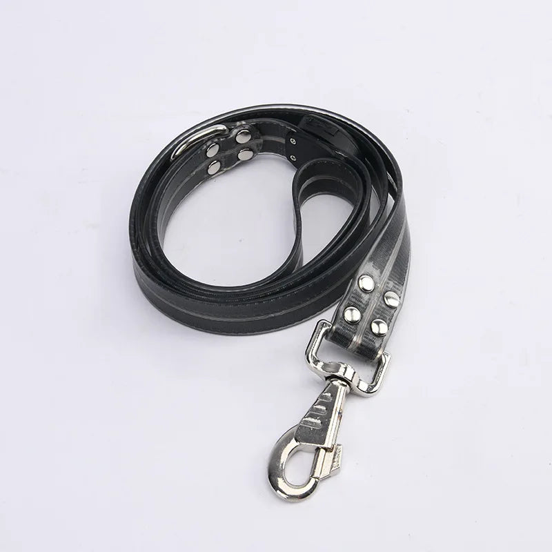 The AeroLume™ LED Dog Collar & Leash Set — USB Rechargeable Flashing Night Safety Set
