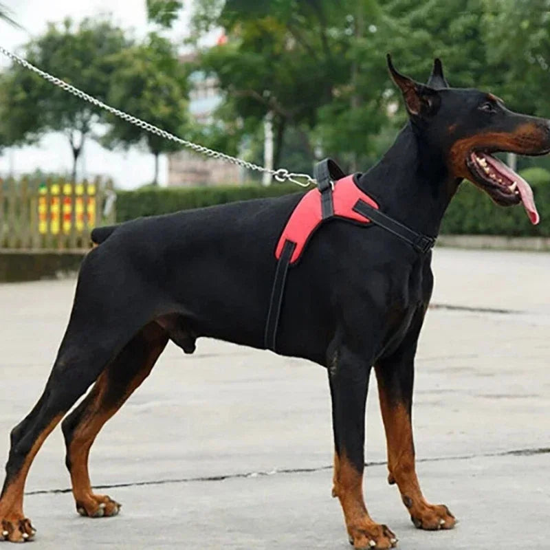 The AeroStride™ Adjustable Dog Harness Vest