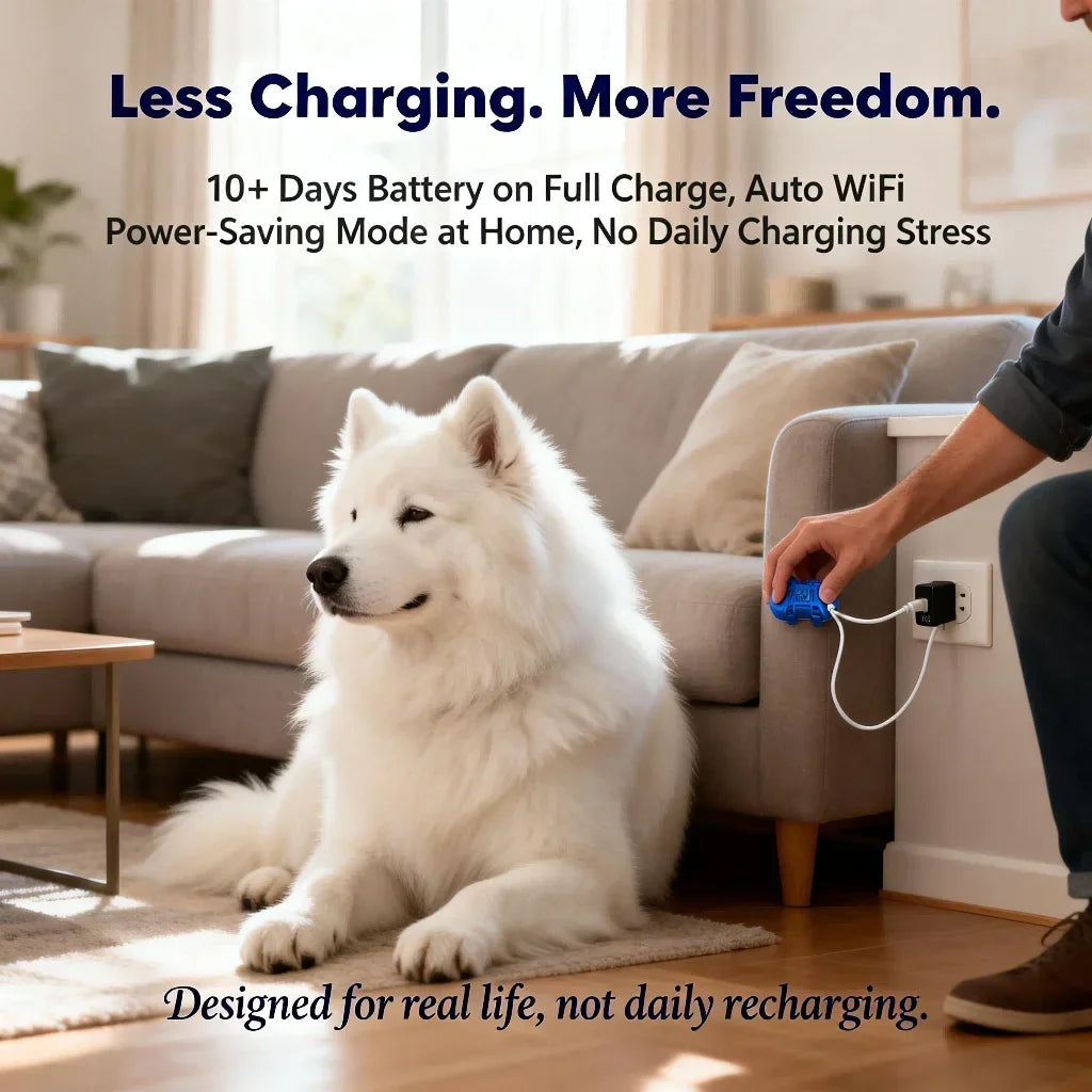 The AeroTrack™ GPS Pet Tracker for Dogs & Cats