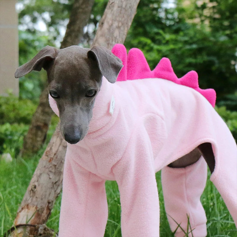 The AeroRex™ Greyhound, Italian Greyhound, Whippet & Afghan Hound Dinosaur Turtleneck Coat