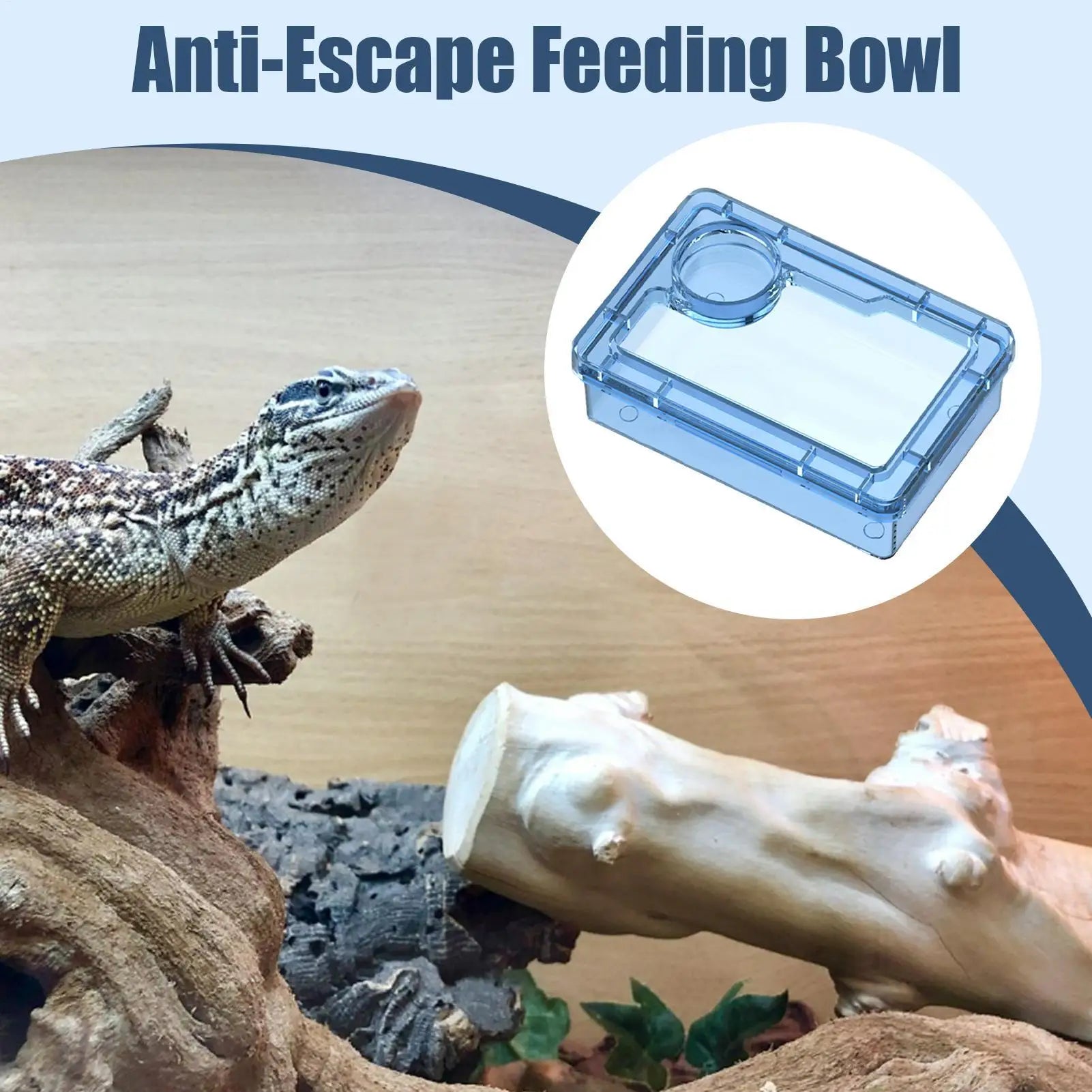 The AeroFeed™ Anti-Escape Reptile Feeding Bowl | Lizards, Geckos & More