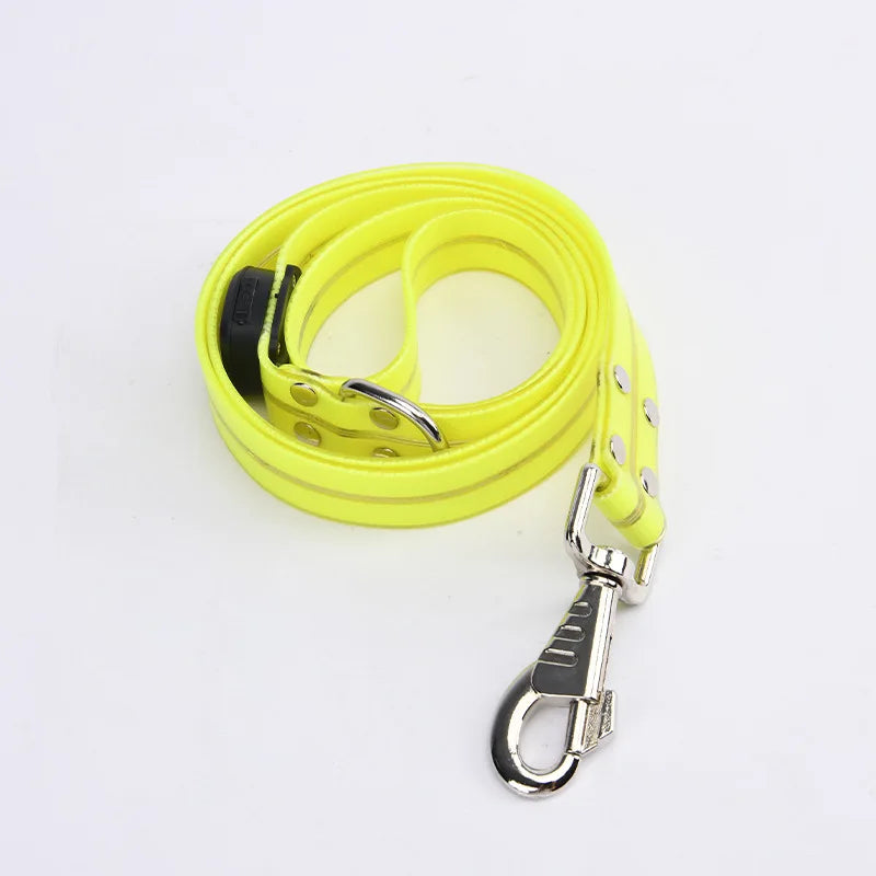 The AeroLume™ LED Dog Collar & Leash Set — USB Rechargeable Flashing Night Safety Set