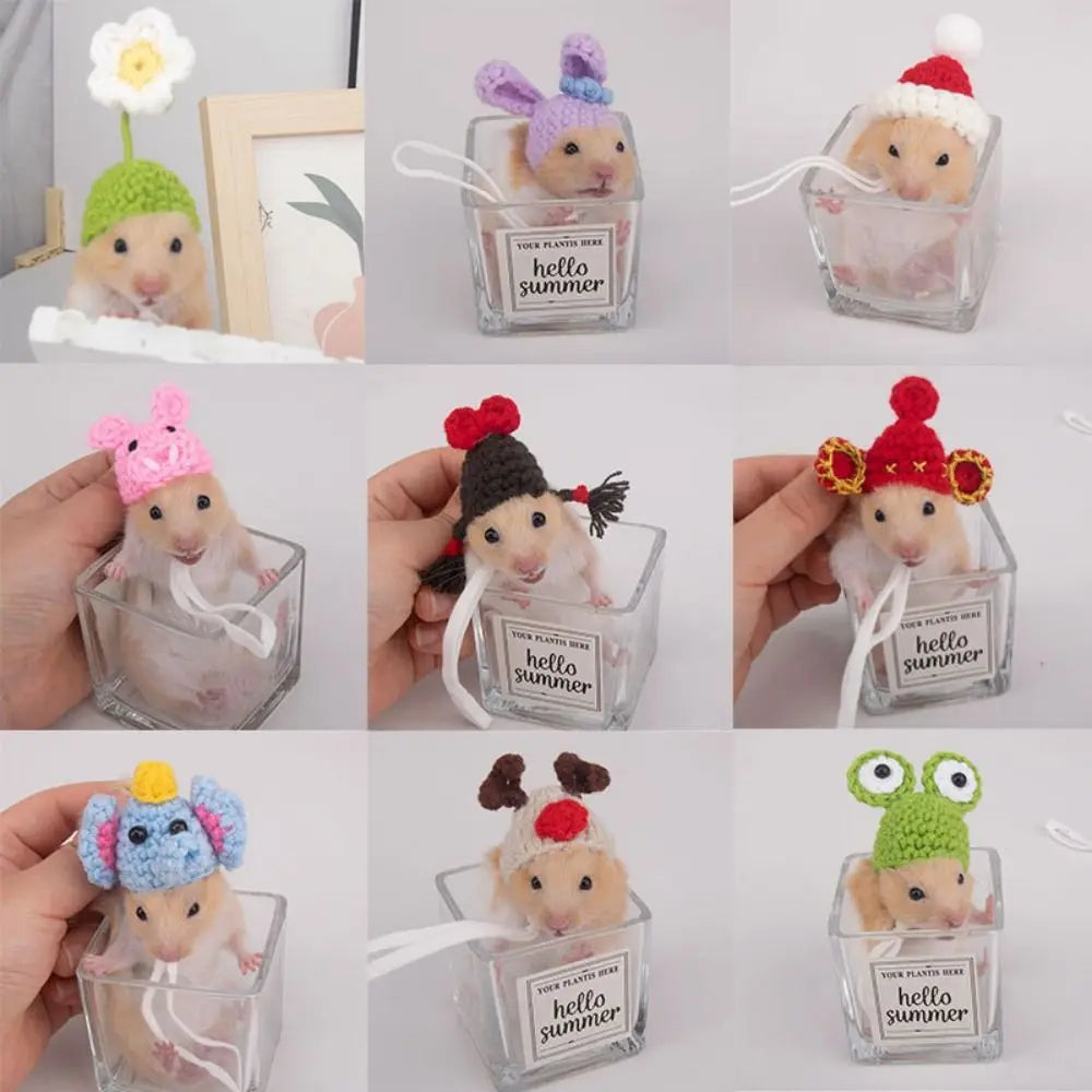 The AeroHat™ Cartoon Hamster Hat | 13 Adorable Styles