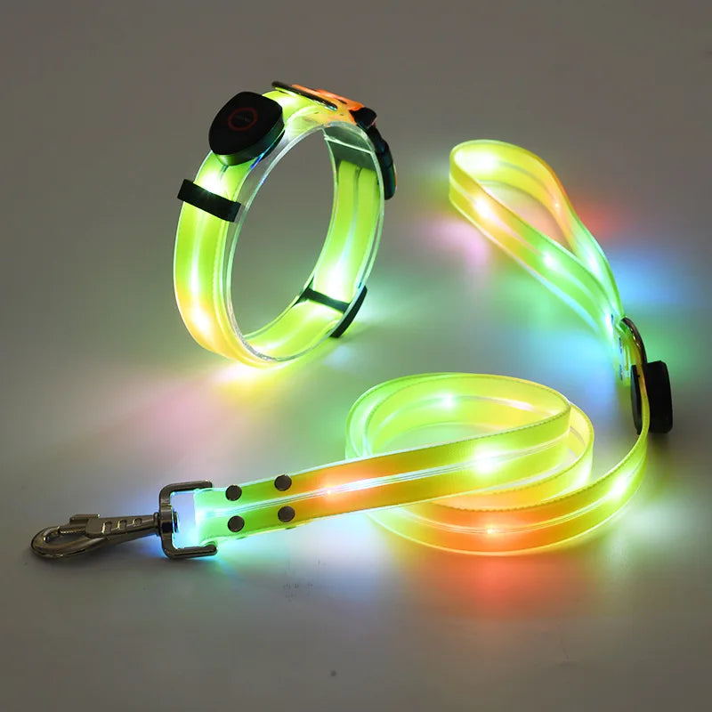 The AeroLume™ LED Dog Collar & Leash Set — USB Rechargeable Flashing Night Safety Set