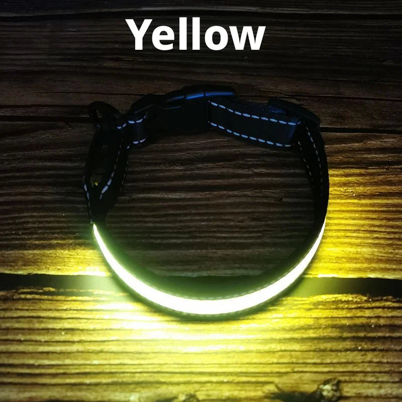 The AeroGlow™ Iridescent LED Safety Dog Collar