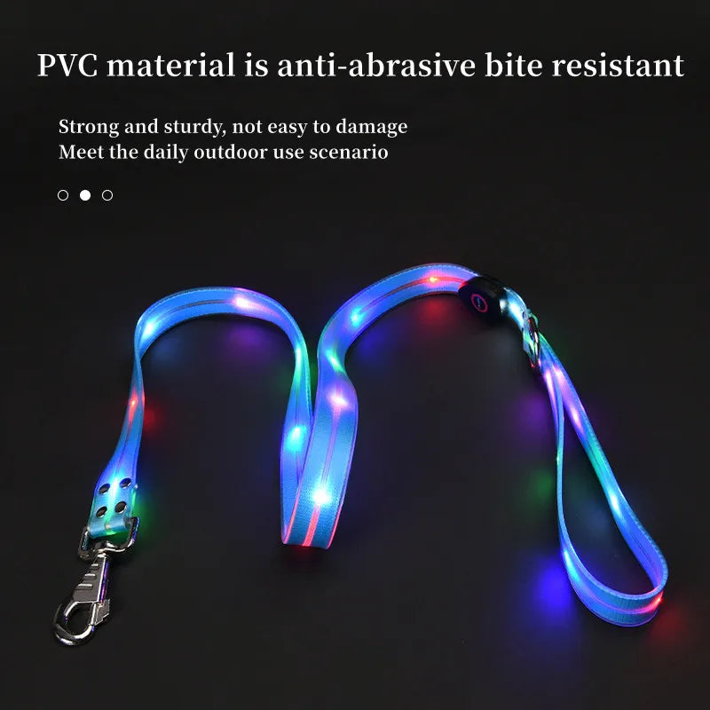 The AeroLume™ LED Dog Collar & Leash Set — USB Rechargeable Flashing Night Safety Set