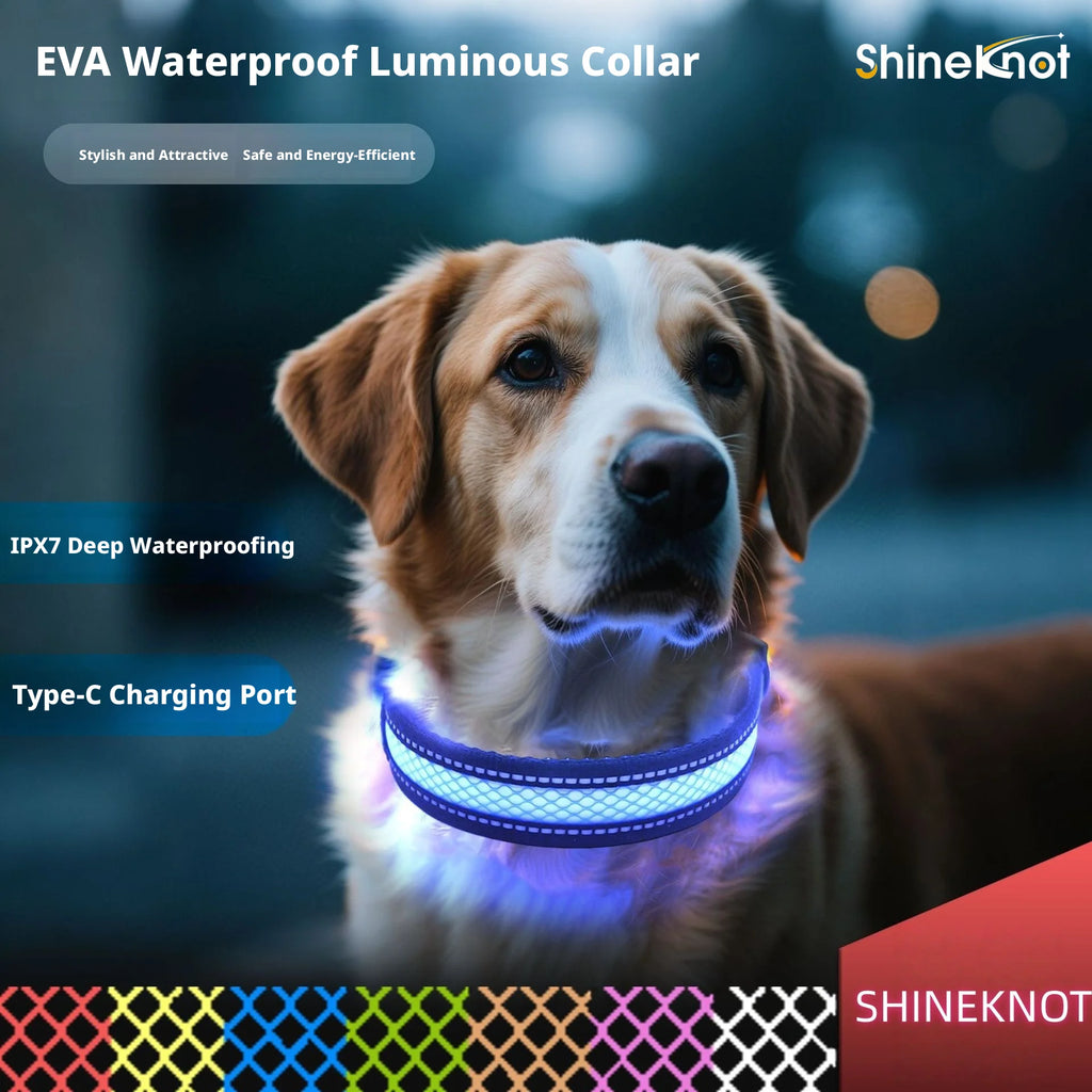 The AeroGlow™ Iridescent LED Safety Dog Collar