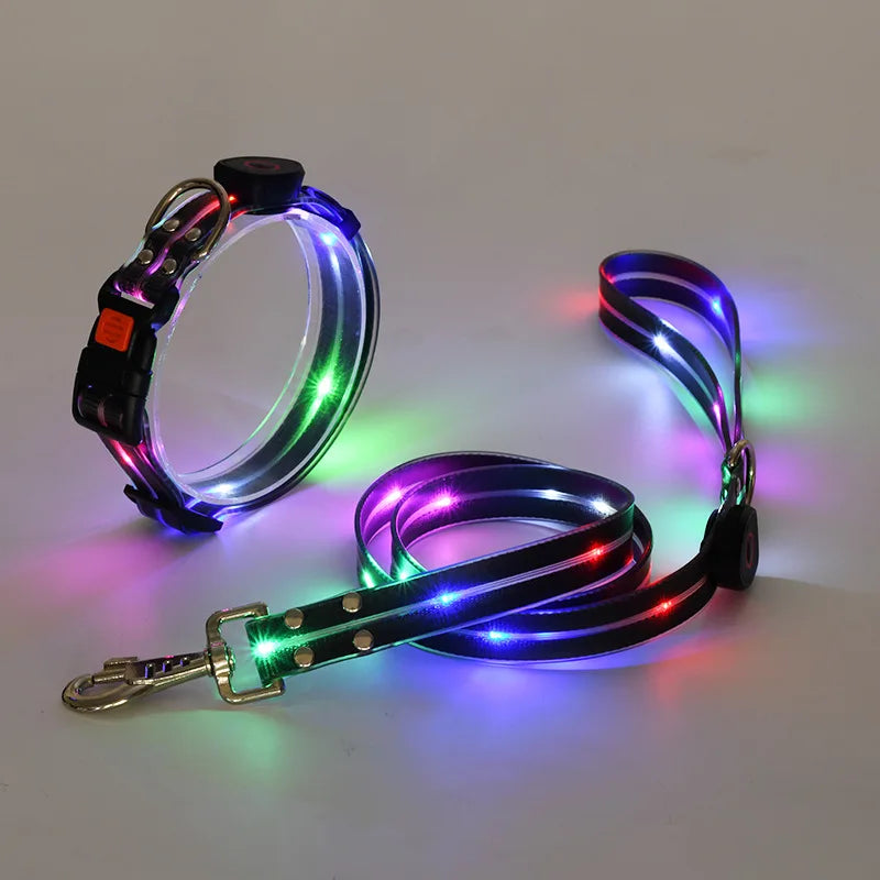 The AeroLume™ LED Dog Collar & Leash Set — USB Rechargeable Flashing Night Safety Set