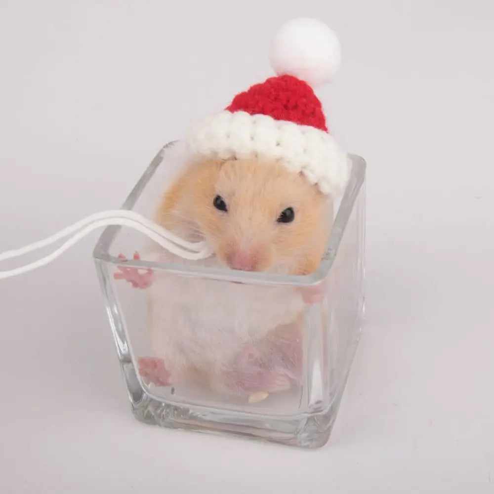 The AeroHat™ Cartoon Hamster Hat | 13 Adorable Styles