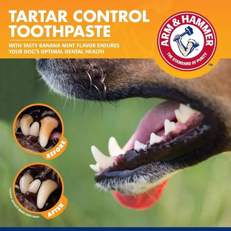 The AeroBite™ Pet Dental Care Kit
