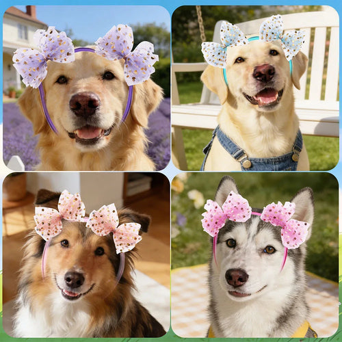 The AeroBow™ Large Lace Shining Dog Bows