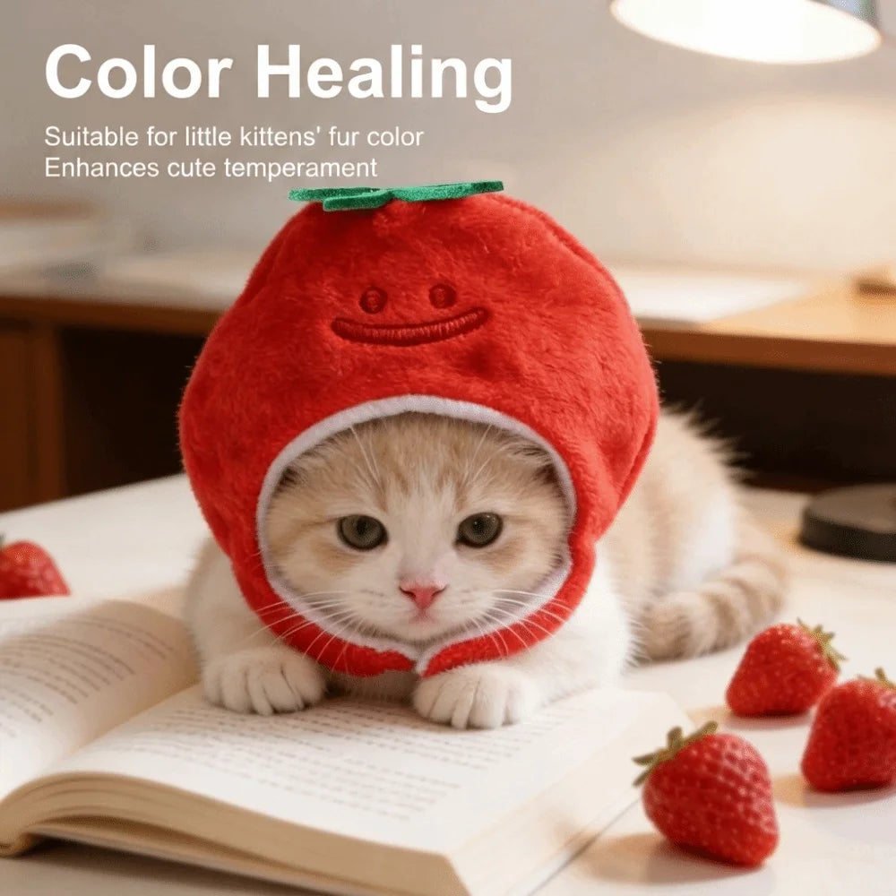 The AeroCharm™ Novelty Fruit & Character Pet Hat | 6 Styles