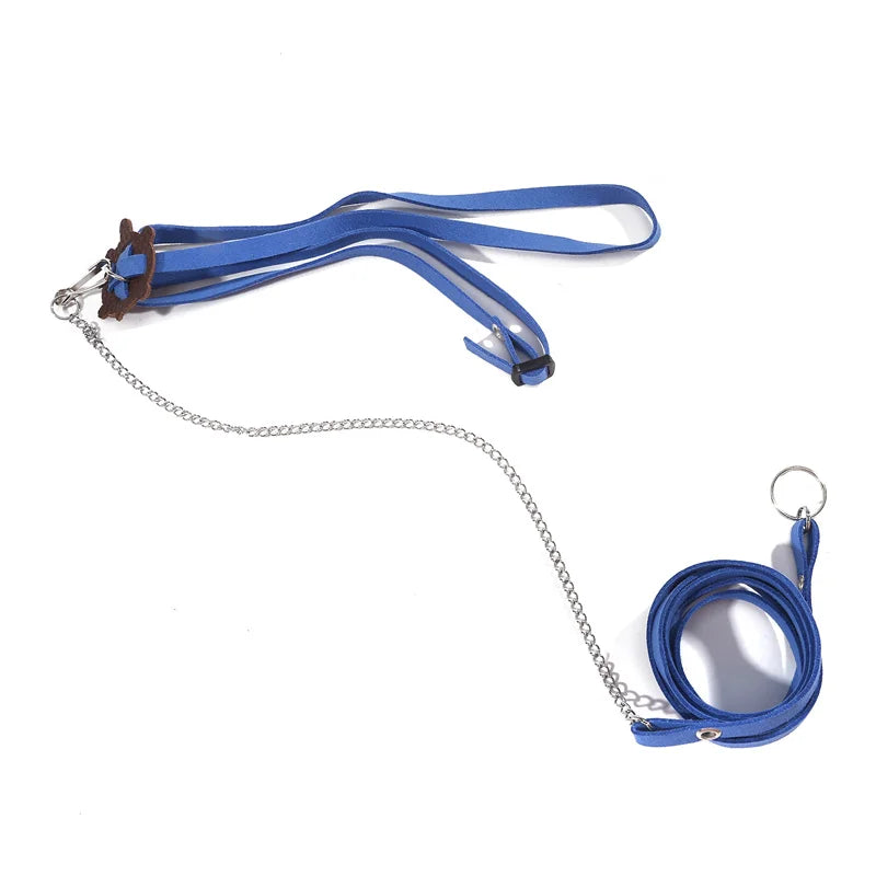 The AeroLeash™ PU Leather Turtle Walking Harness & Leash