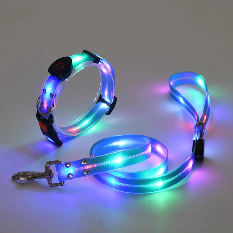 The AeroLume™ LED Dog Collar & Leash Set — USB Rechargeable Flashing Night Safety Set