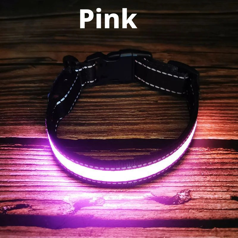 The AeroGlow™ Iridescent LED Safety Dog Collar