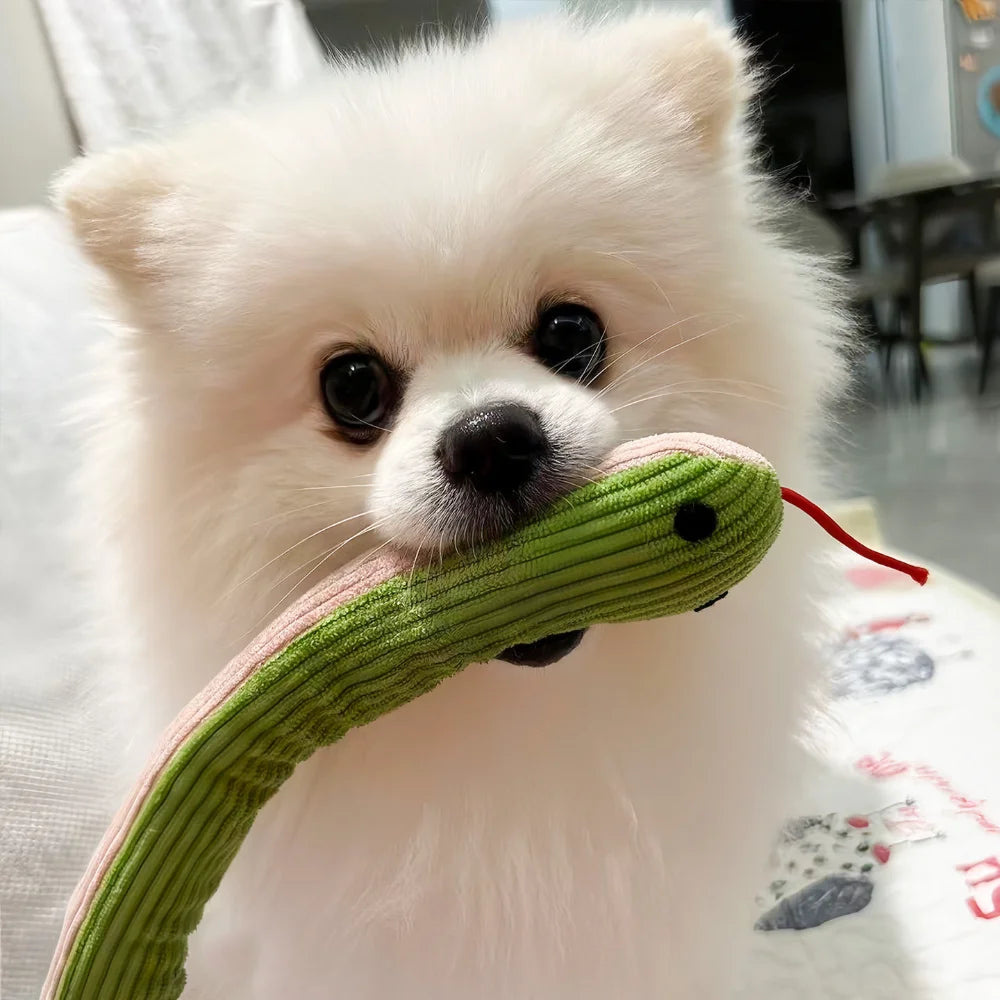 The AeroSlither™ Floppy Snake Plush & Rope Toy
