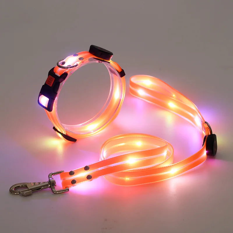 The AeroLume™ LED Dog Collar & Leash Set — USB Rechargeable Flashing Night Safety Set