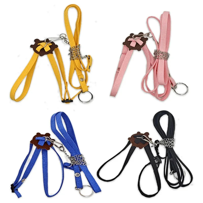 The AeroLeash™ Turtle Harness & Outdoor Traction Rope | Safe Adventure Awaits